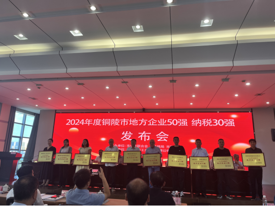 公司榮獲“地方企業50強”等多項榮譽